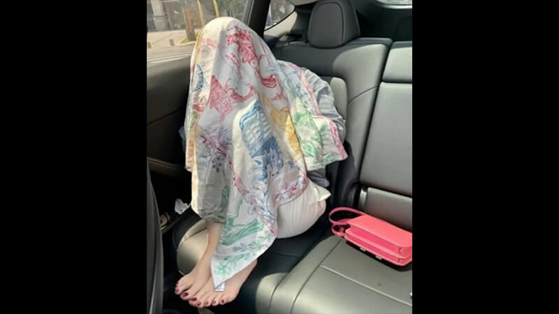特斯拉全景天窗