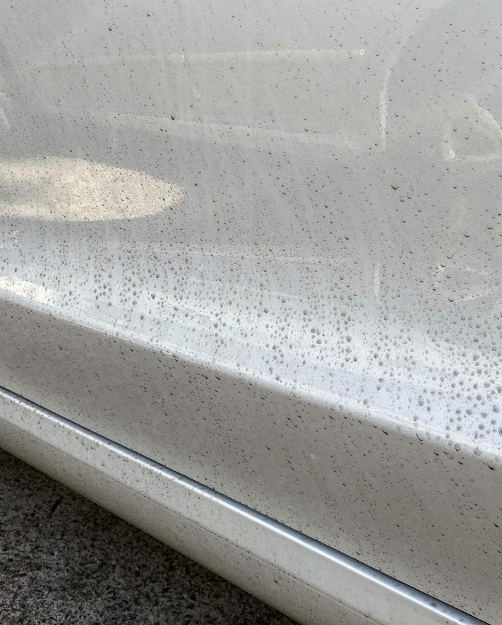 Model 3 犀牛皮