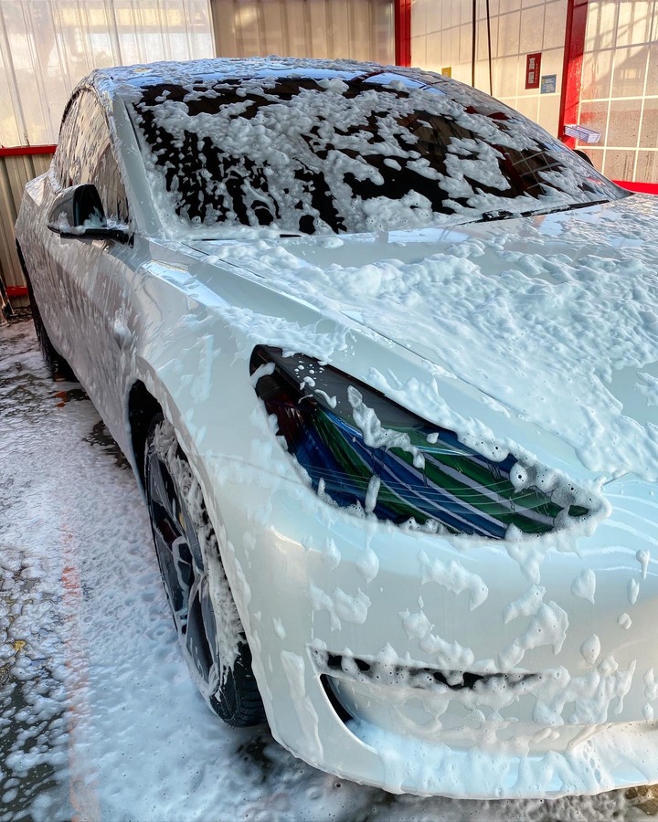 Model 3 犀牛皮