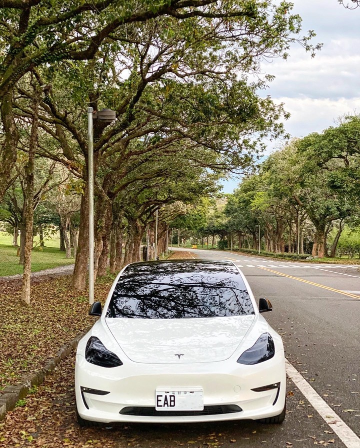 Model 3