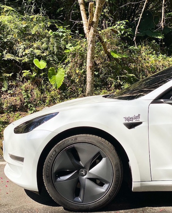 銳步汽車包膜 x Model 3